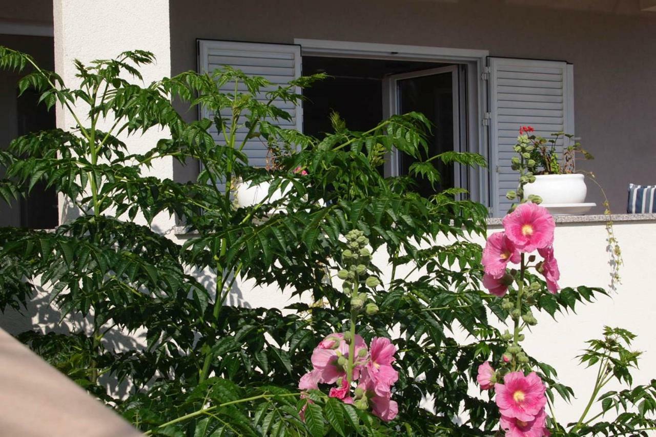 Open Hus Daire Krvavica Dış mekan fotoğraf