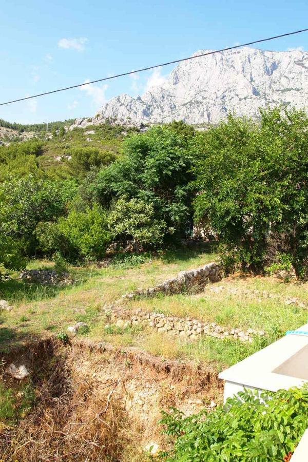 Open Hus Daire Krvavica Dış mekan fotoğraf