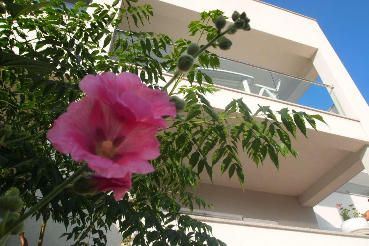 Open Hus Daire Krvavica Dış mekan fotoğraf